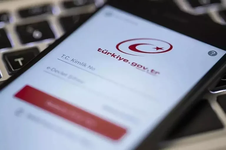 E-Devlet’te yeni dönem! Hizmeti duyan platforma akın ediyor